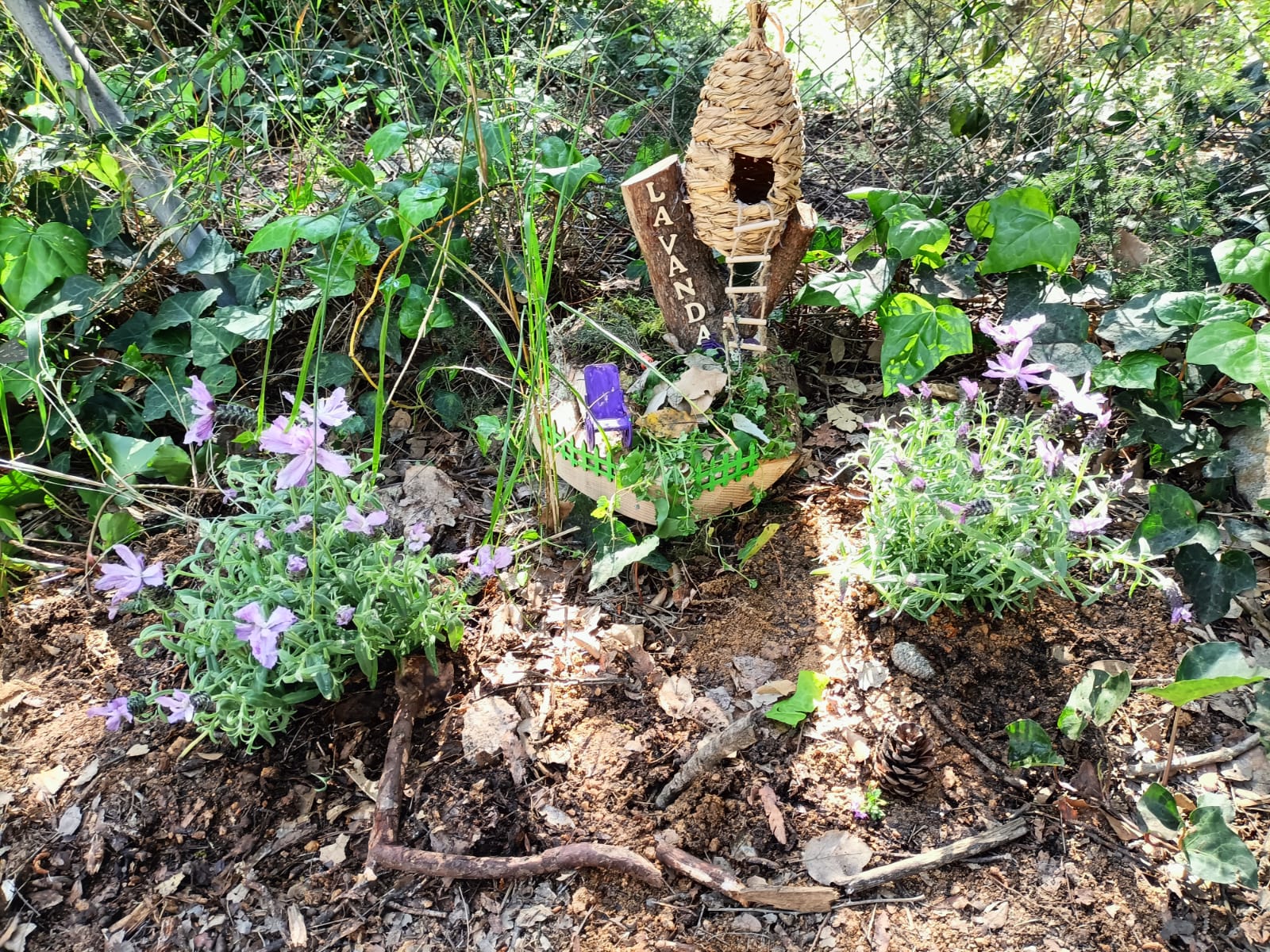 clica la imatge per veure el vídeo