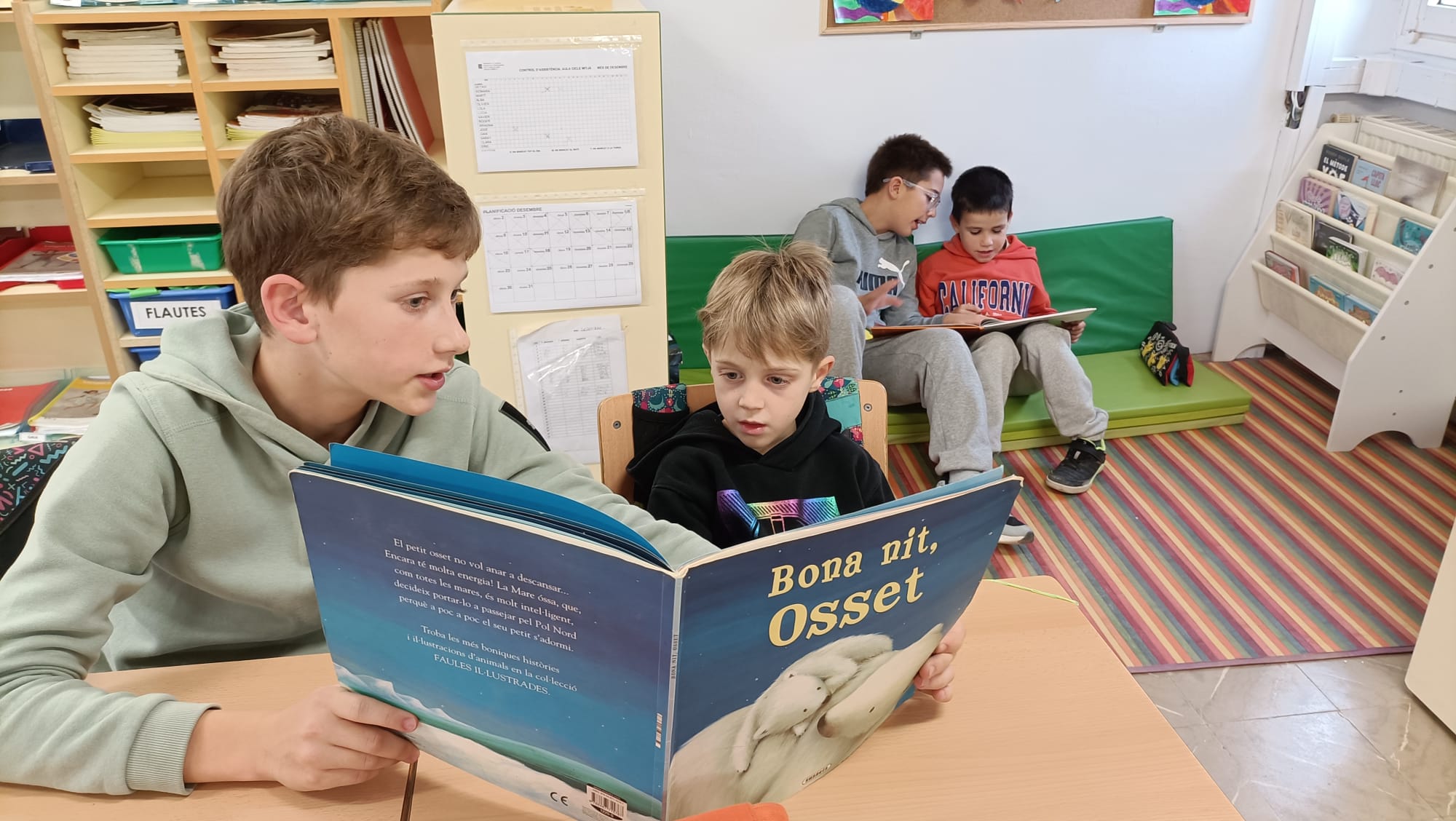 Imatge de WhatsApp 2024-12-18 a les 17.00.33_0ebf5bd8