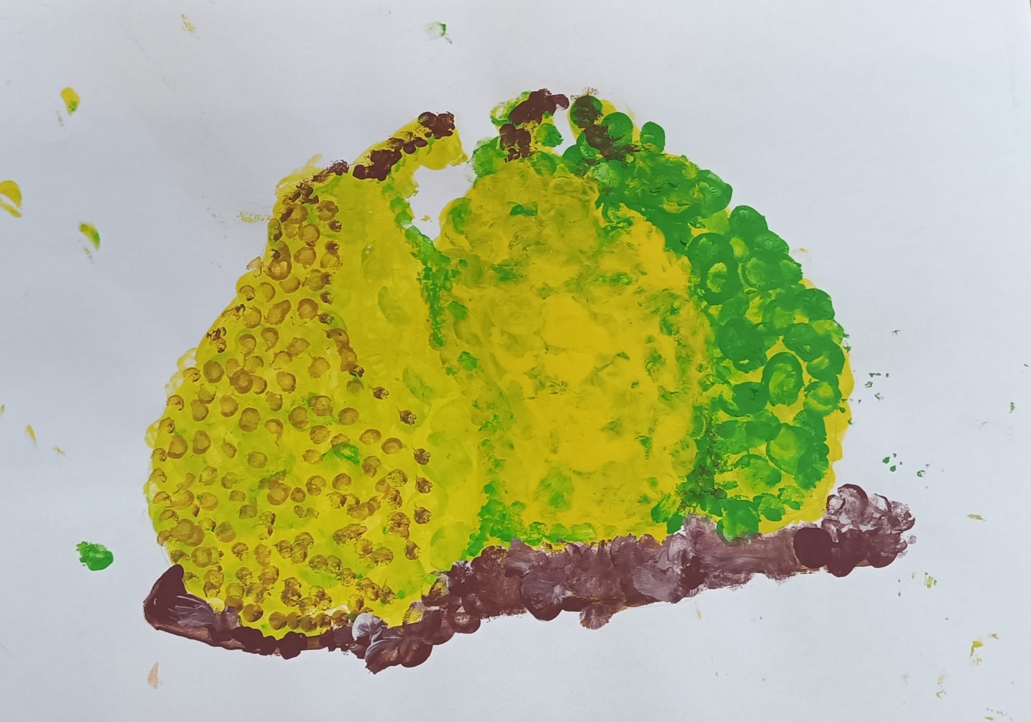 WhatsApp Image 2026-01-05 at 12.41.49