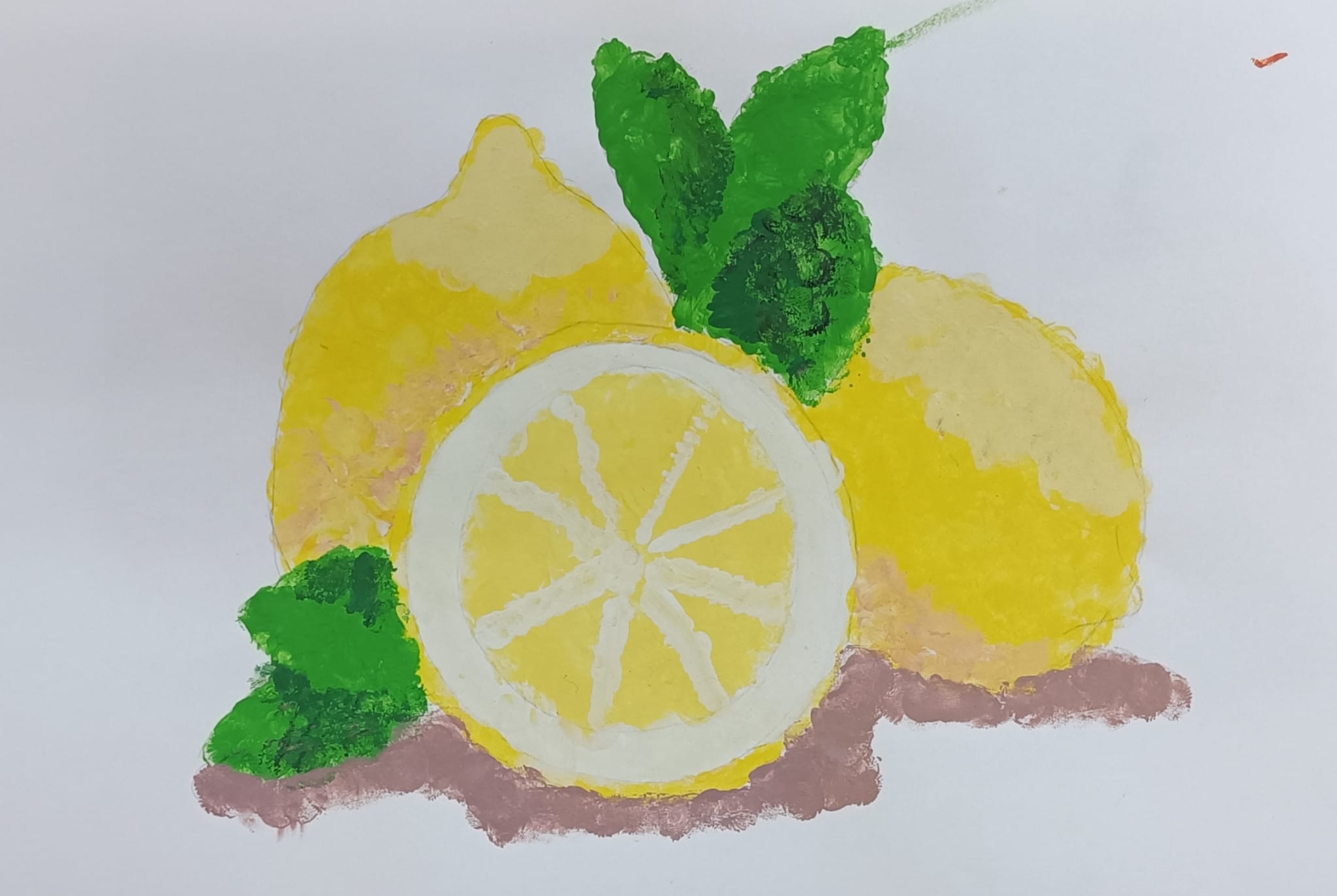 WhatsApp Image 2026-01-05 at 12.41.493