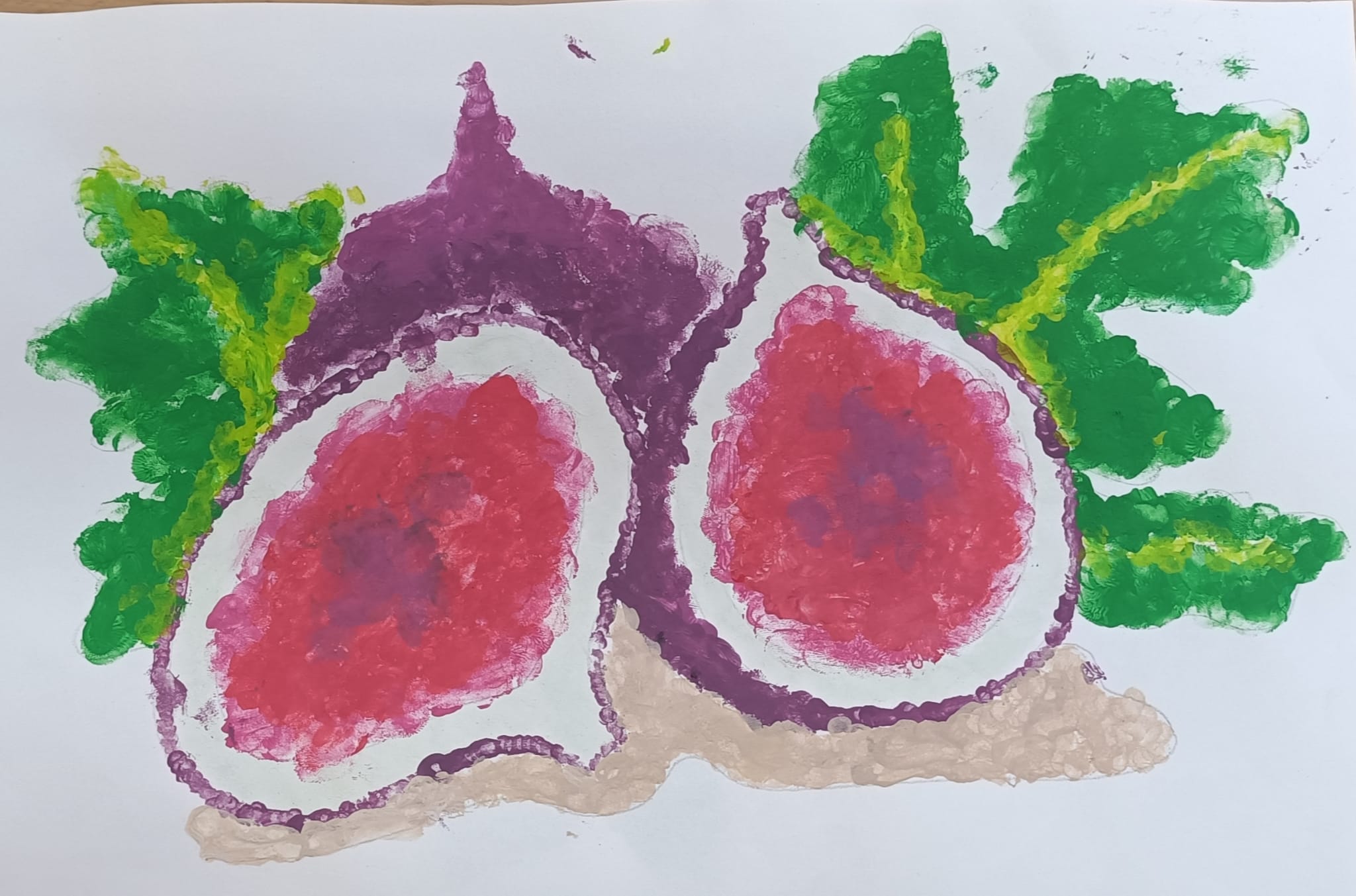 WhatsApp Image 2026-01-05 at 12.41.494