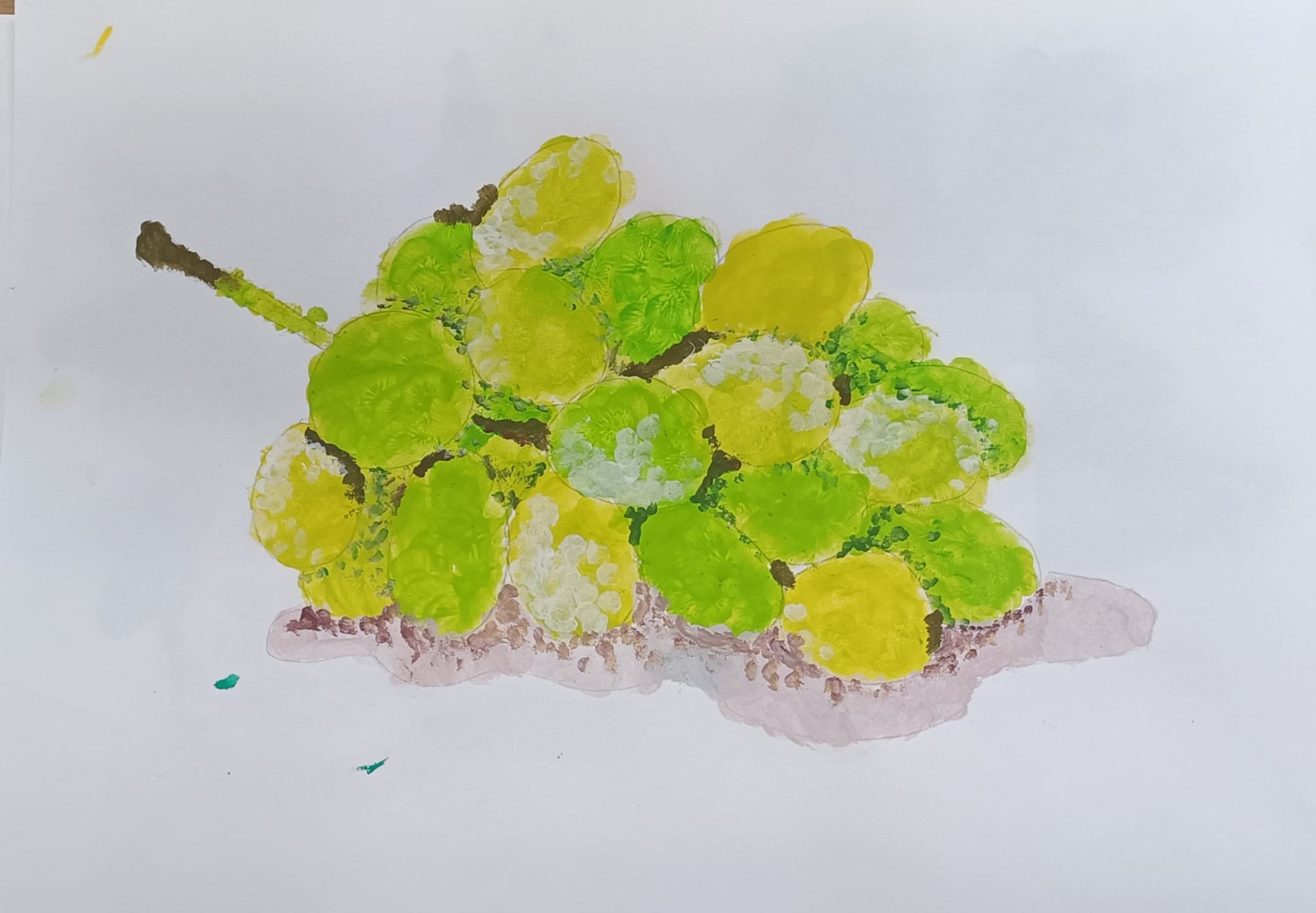 WhatsApp Image 2026-01-05 at 12.41.495