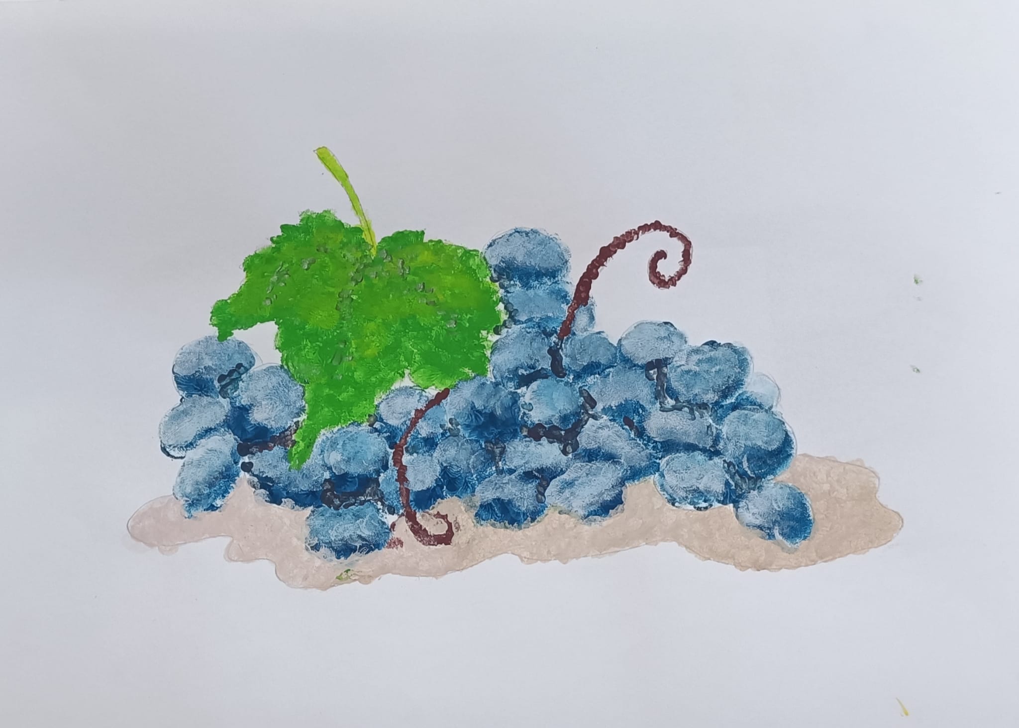 WhatsApp Image 2026-01-05 at 12.41.507