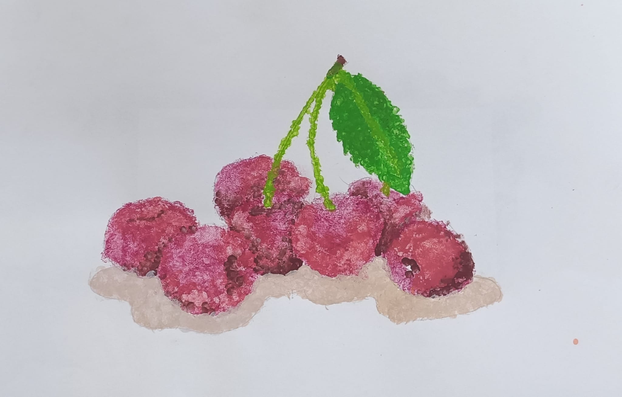 WhatsApp Image 2026-01-05 at 12.41.508