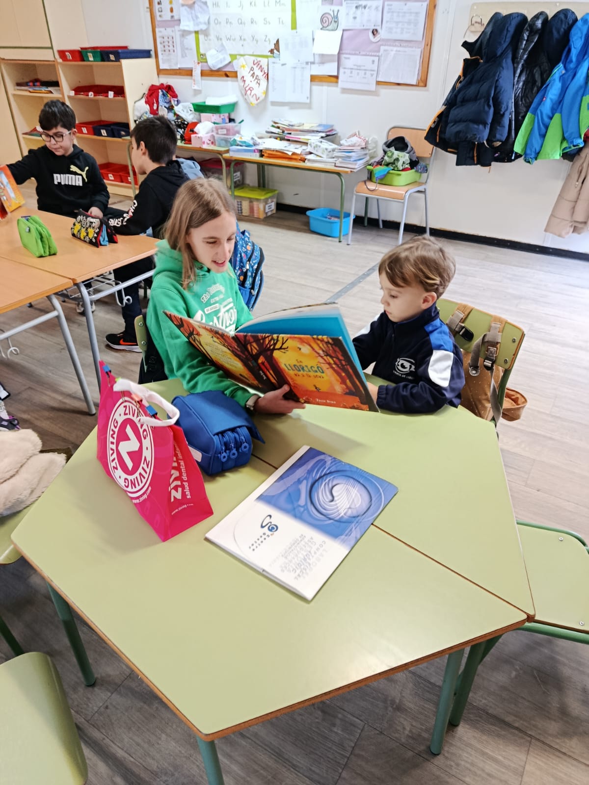 WhatsApp Image 2026-01-23 at 15.37.17 (1)