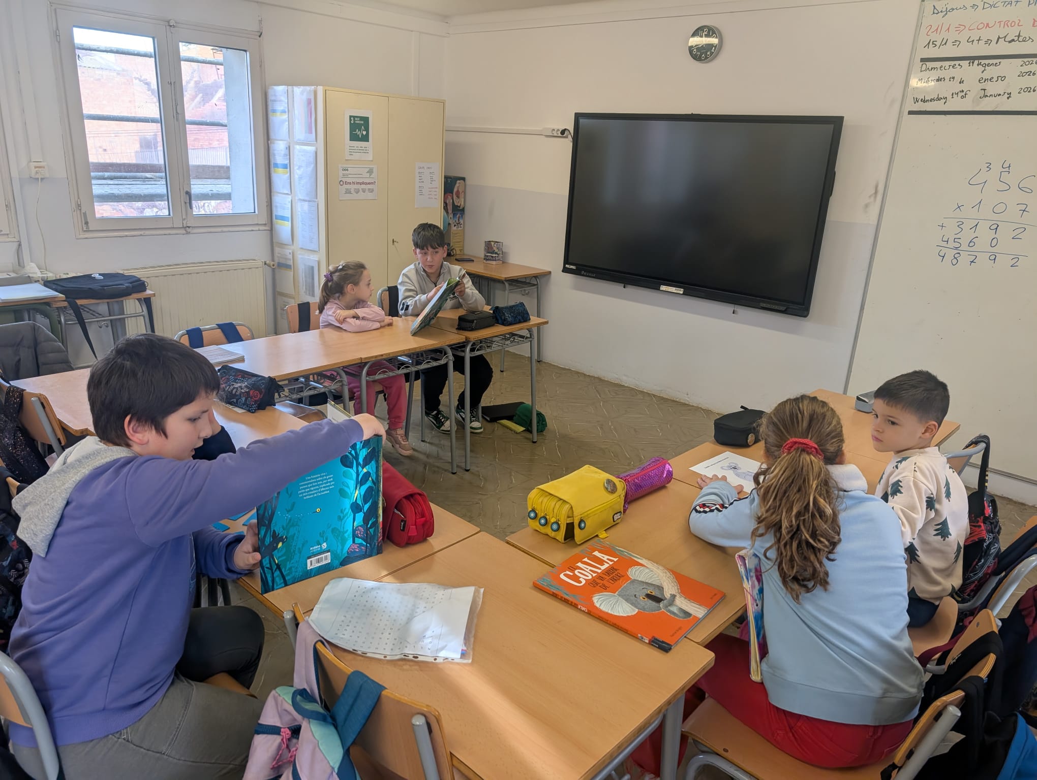 WhatsApp Image 2026-01-23 at 15.37.17 (10)