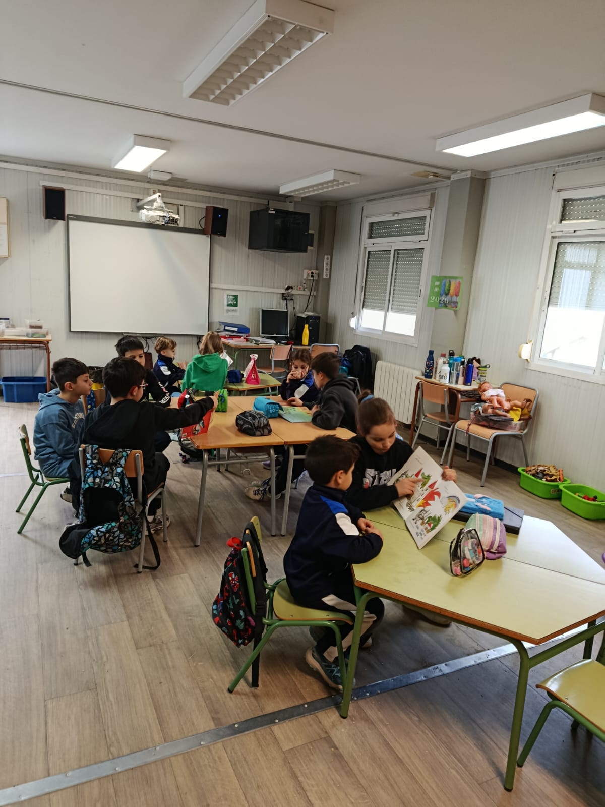 WhatsApp Image 2026-01-23 at 15.37.17 (5)