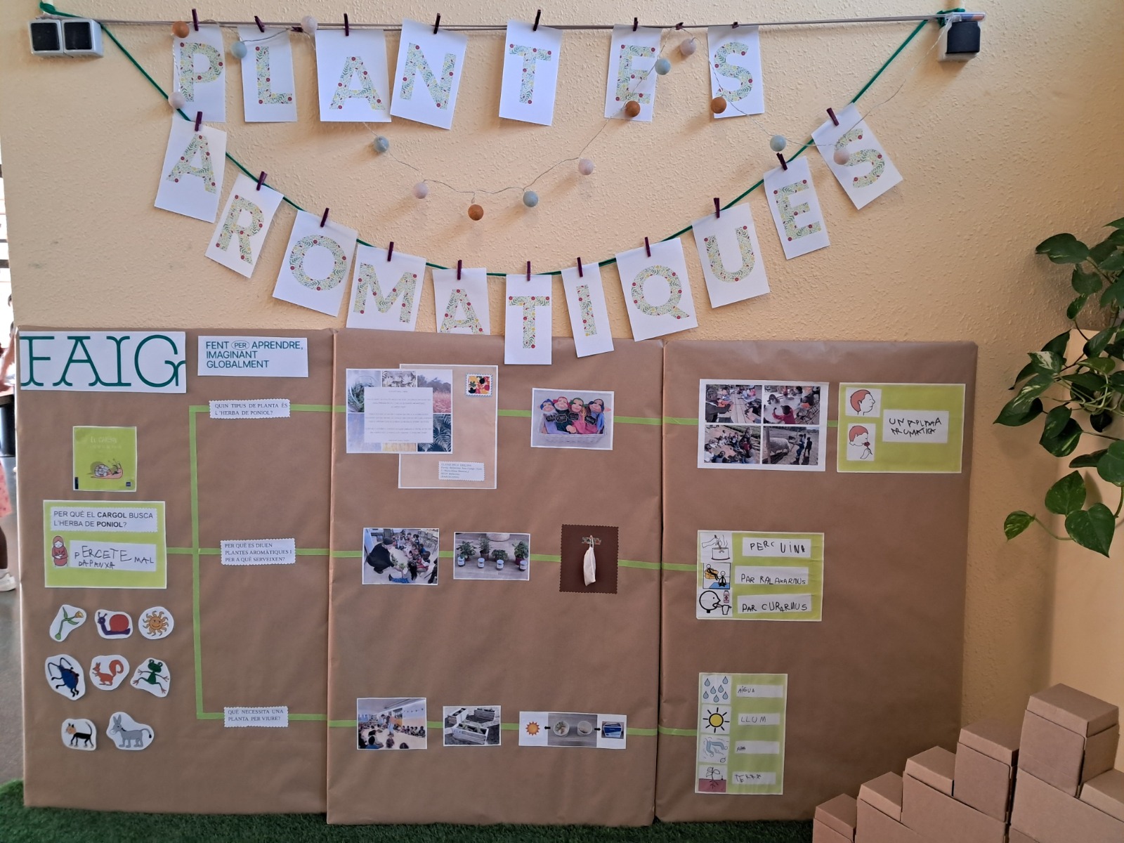 FAIG C1. Cartografia