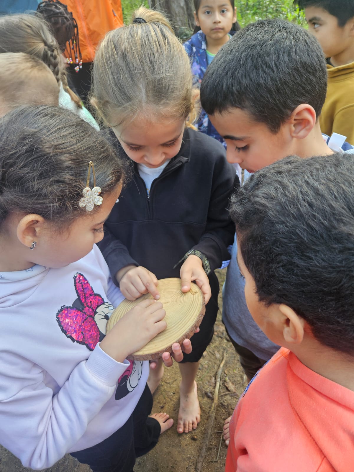 WhatsApp Image 2025-03-27 at 14.32.12 (1)