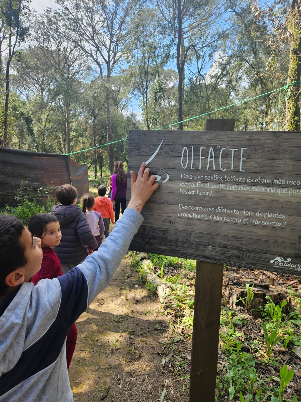 WhatsApp Image 2025-03-27 at 14.32.12