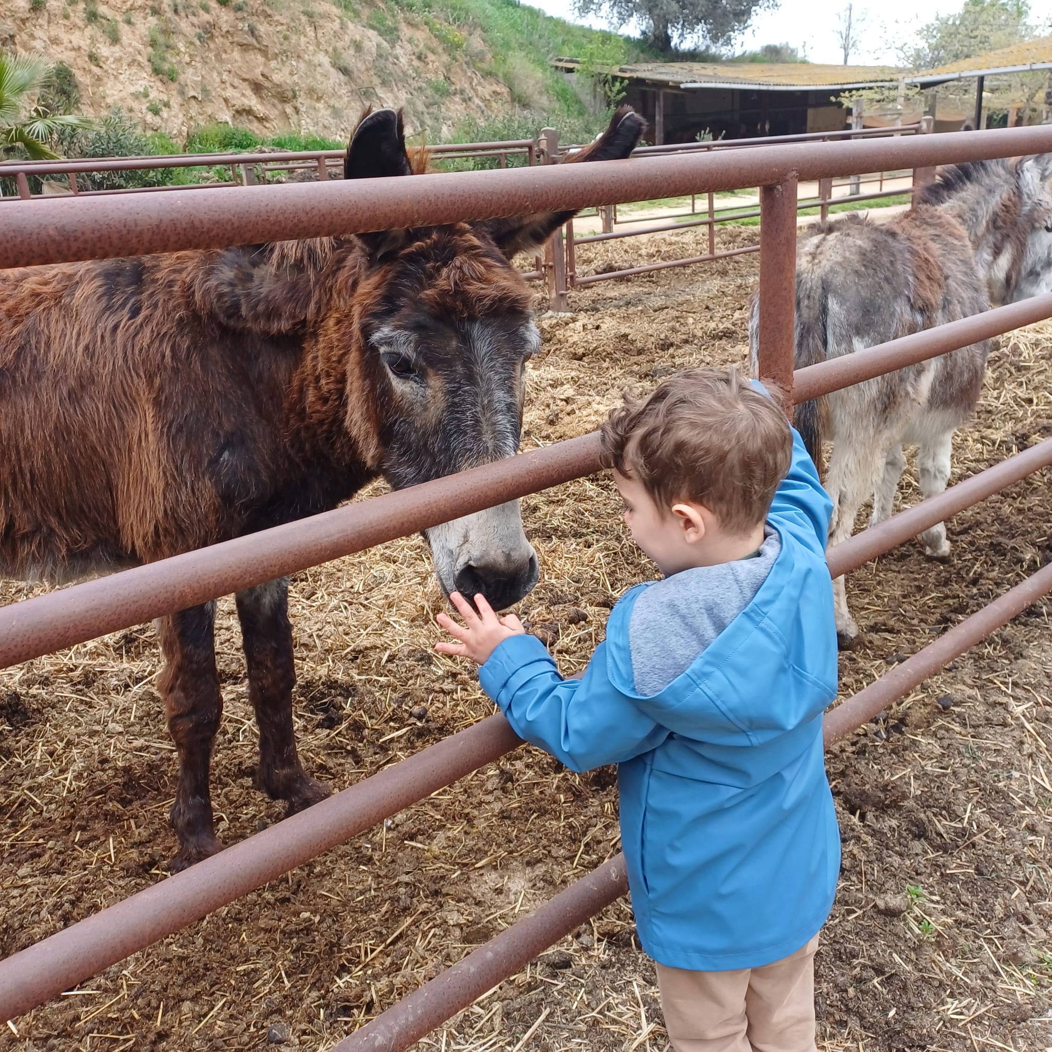 WhatsApp Image 2025-04-02 at 16.16.57