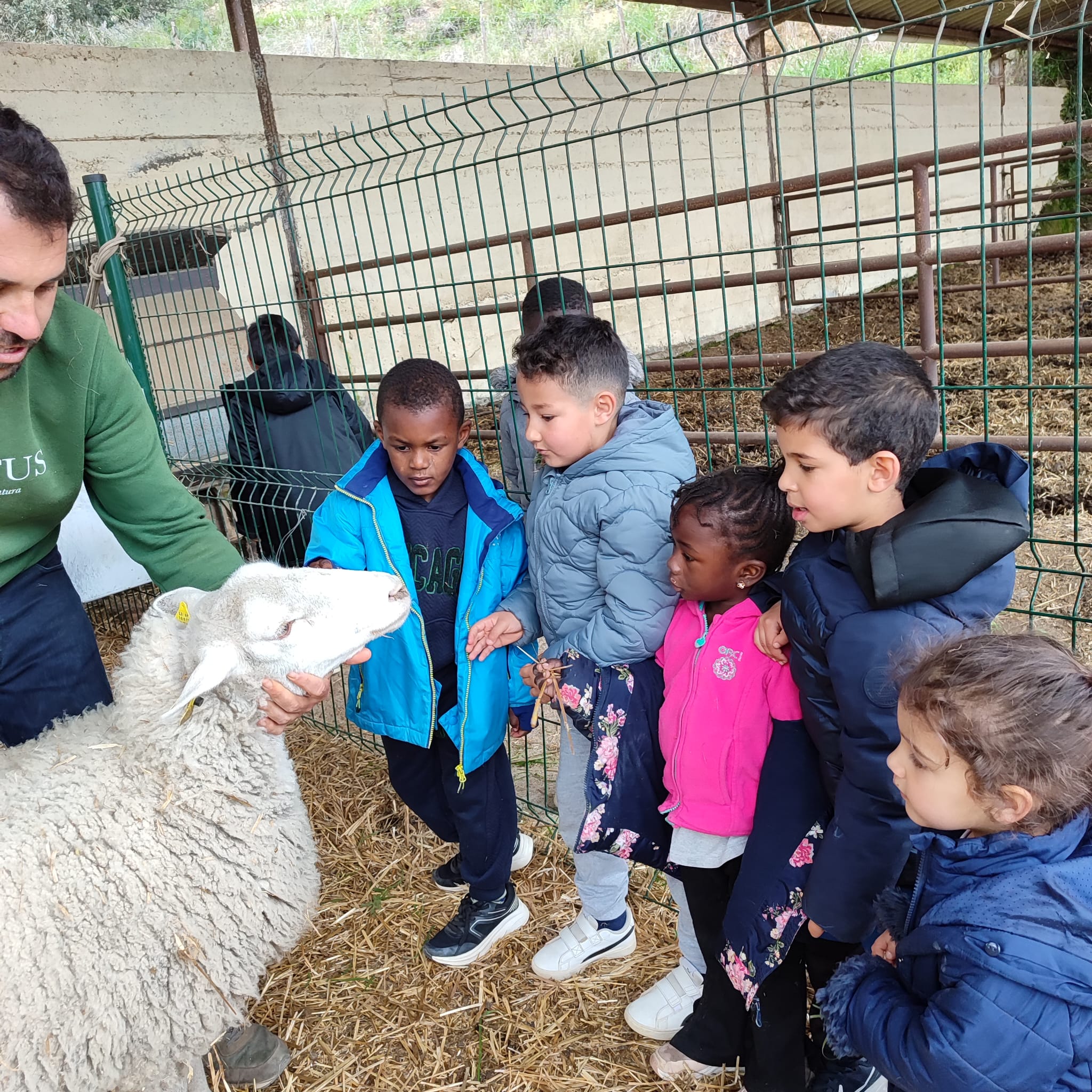 WhatsApp Image 2025-04-02 at 16.17.43 (1)