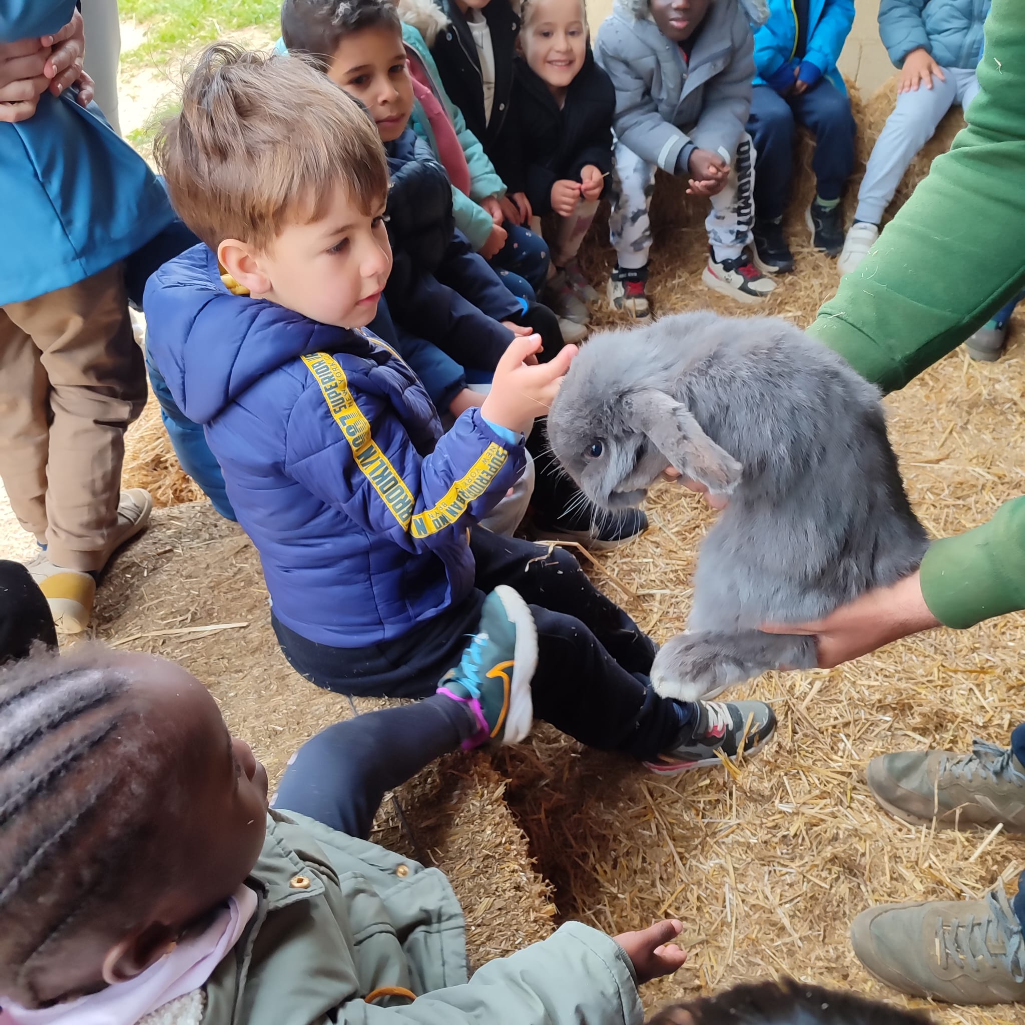 WhatsApp Image 2025-04-02 at 16.17.43 (2)