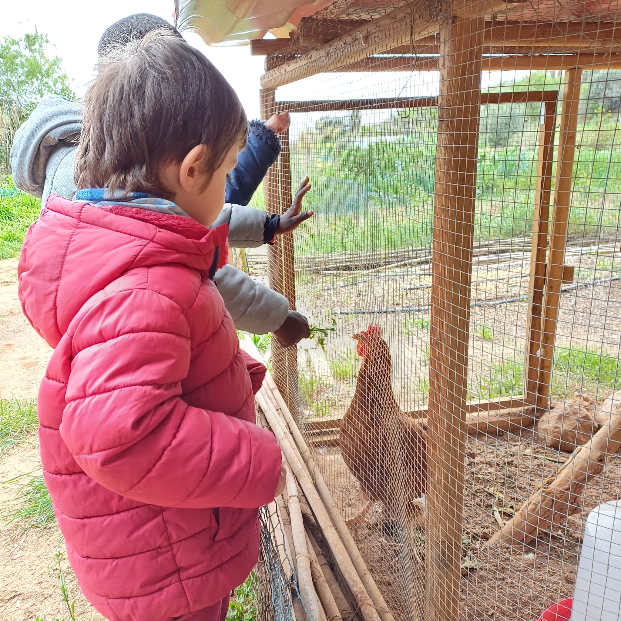 WhatsApp Image 2025-04-02 at 16.19.17