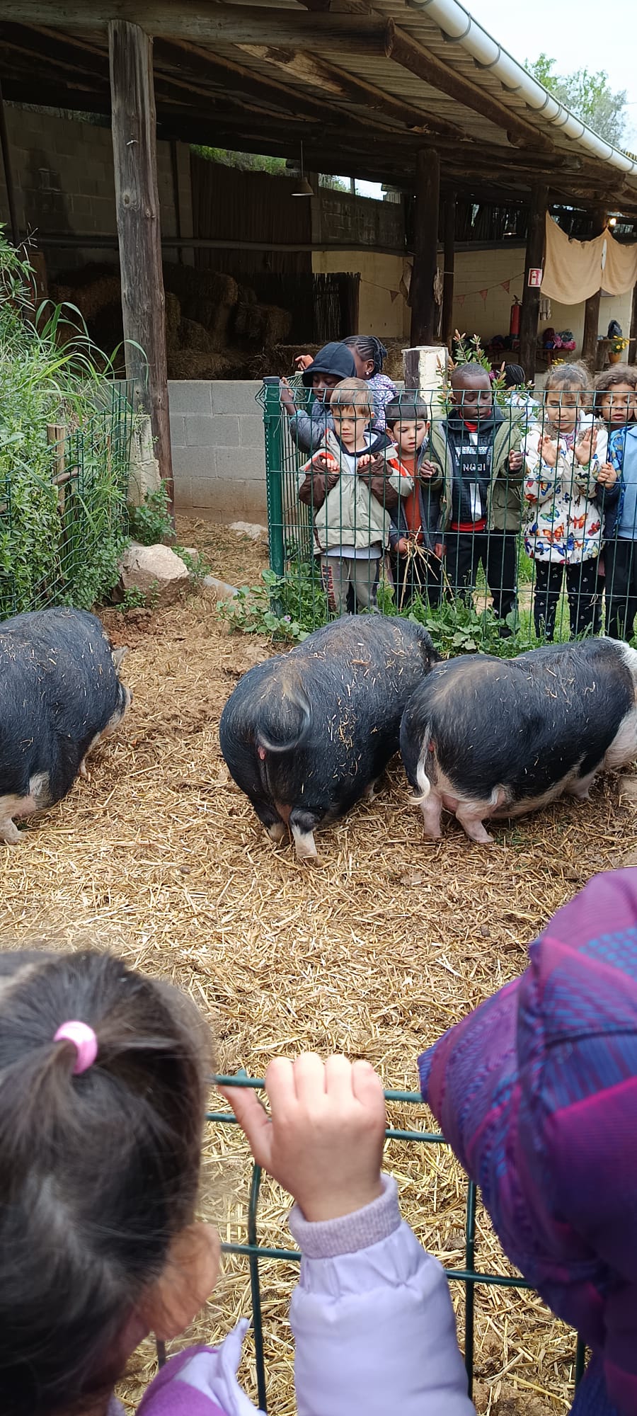 WhatsApp Image 2025-04-02 at 16.19.33