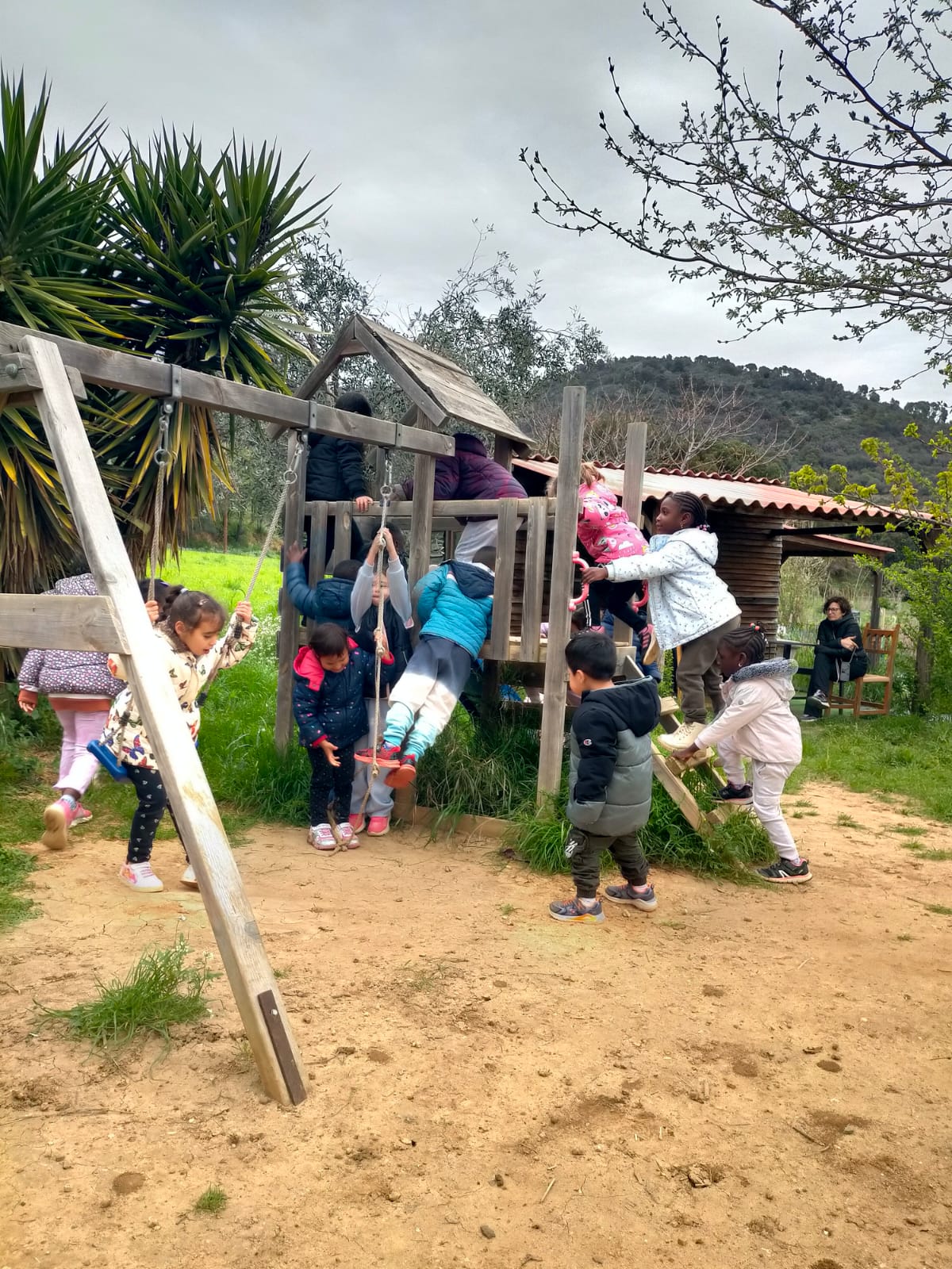 WhatsApp Image 2025-04-02 at 16.20.44 (1)