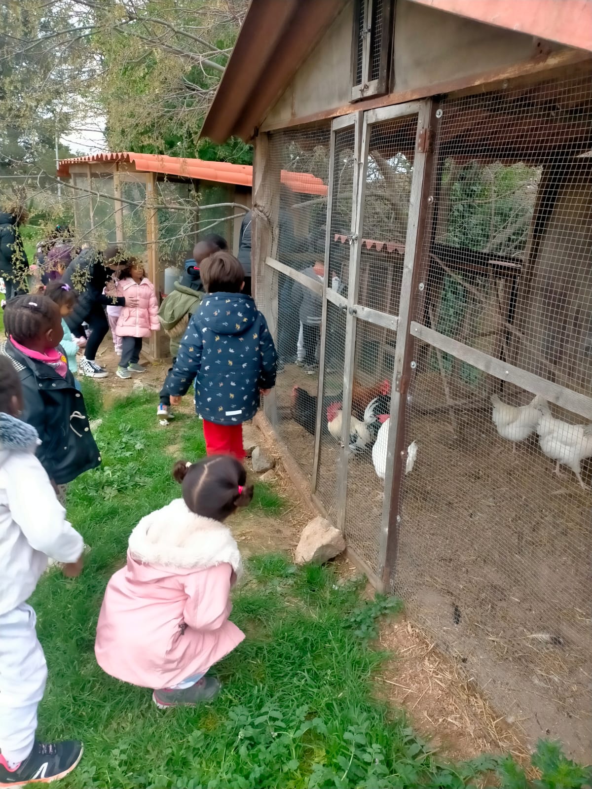 WhatsApp Image 2025-04-02 at 16.20.44