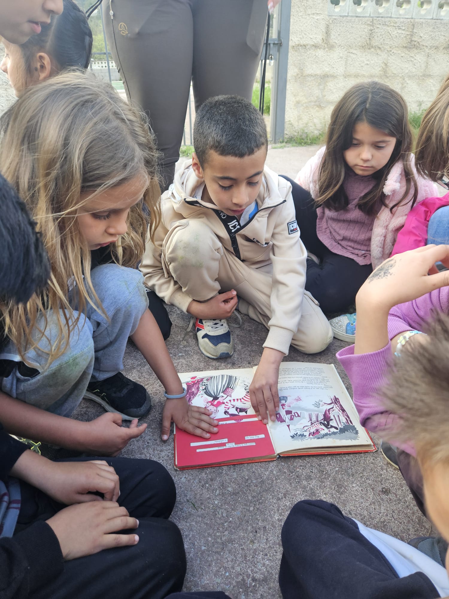 WhatsApp Image 2025-04-29 at 19.09.54