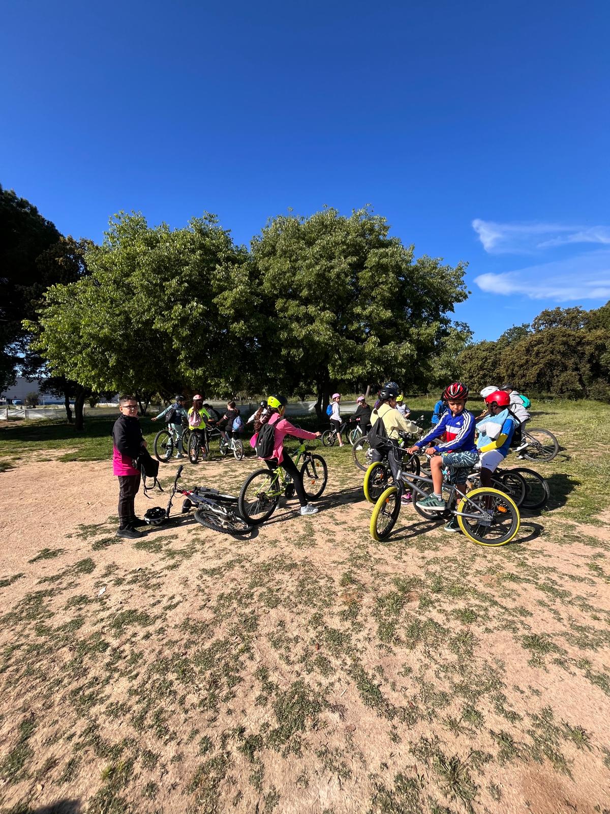 WhatsApp Image 2025-04-30 at 13.29.06 (3)