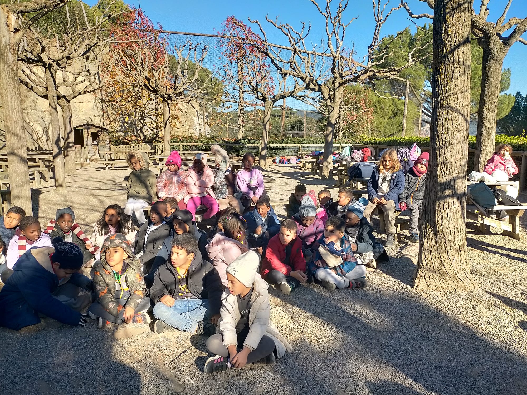 WhatsApp Image 2025-11-28 at 10.23.53