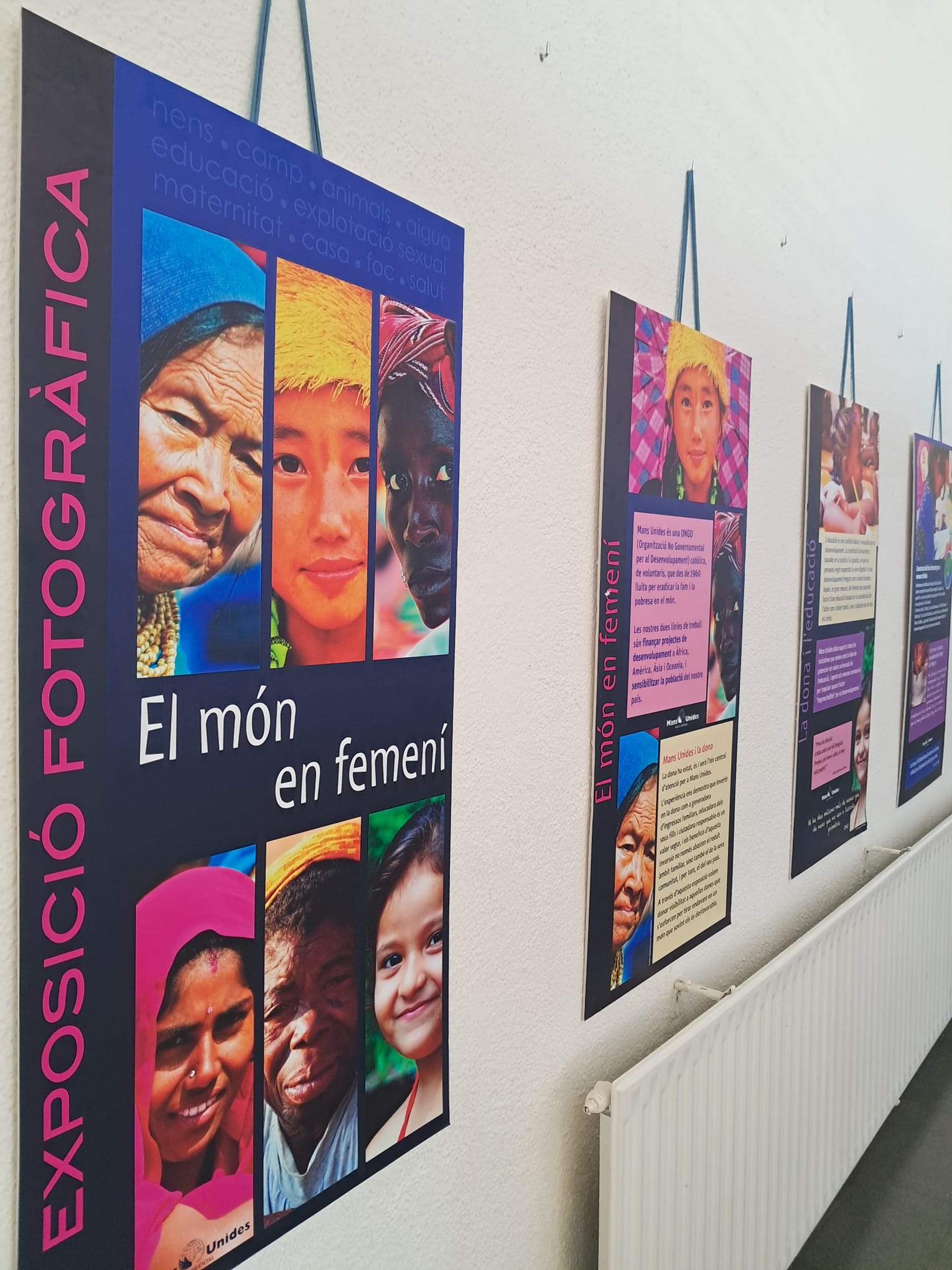 WhatsApp Image 2026-03-25 at 15.28.50 (1)