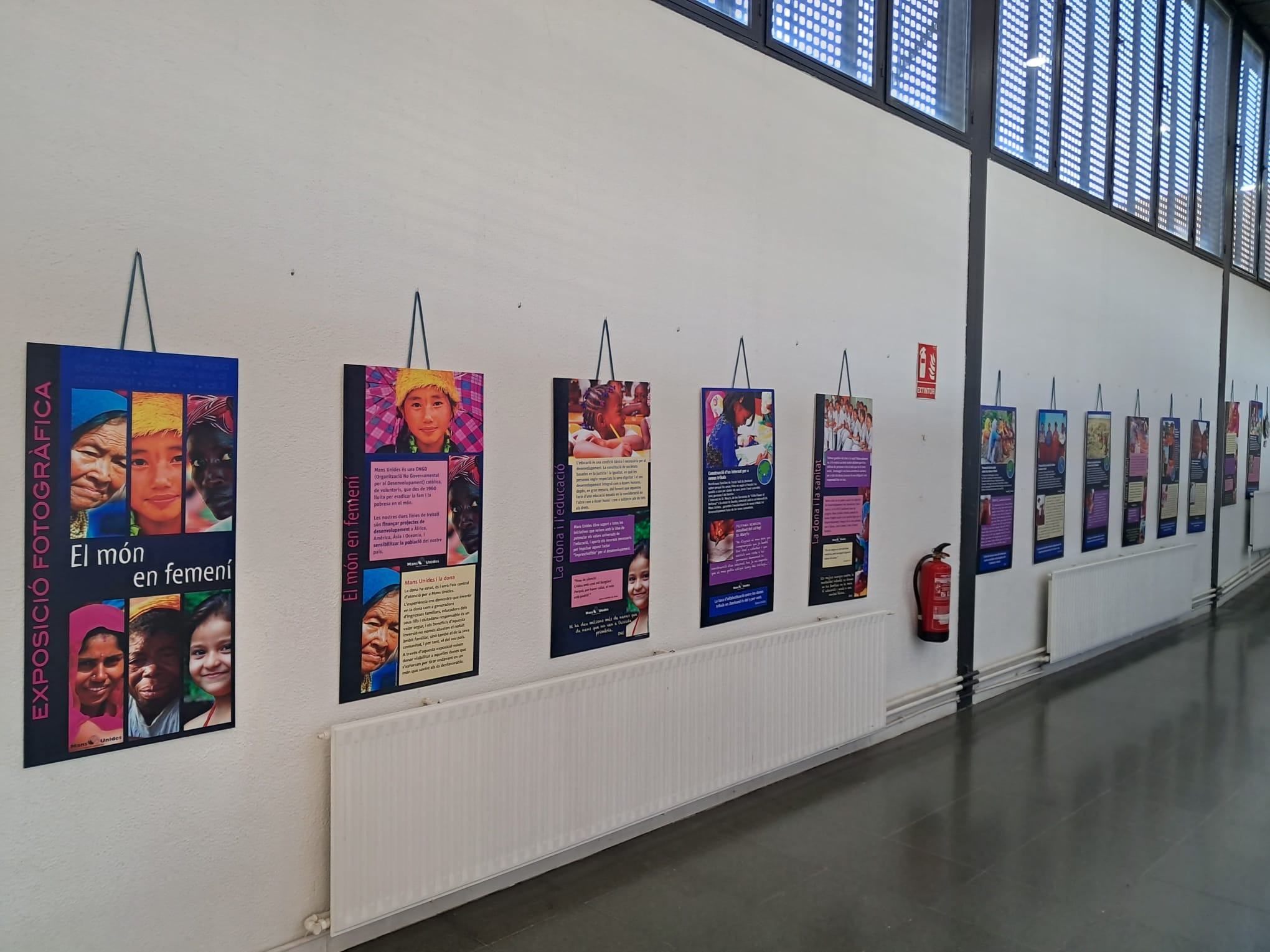 WhatsApp Image 2026-03-25 at 15.28.50