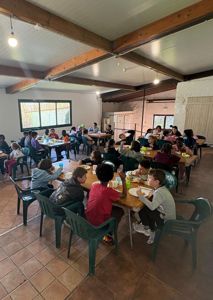 WhatsApp Image 2026-03-26 at 13.33.12