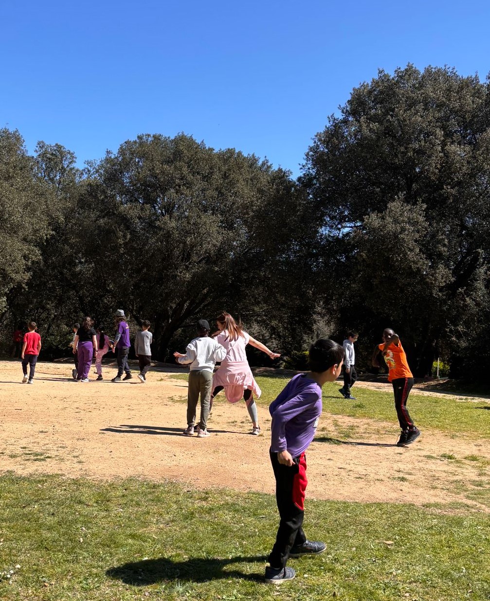 WhatsApp Image 2026-03-26 at 16.24.03