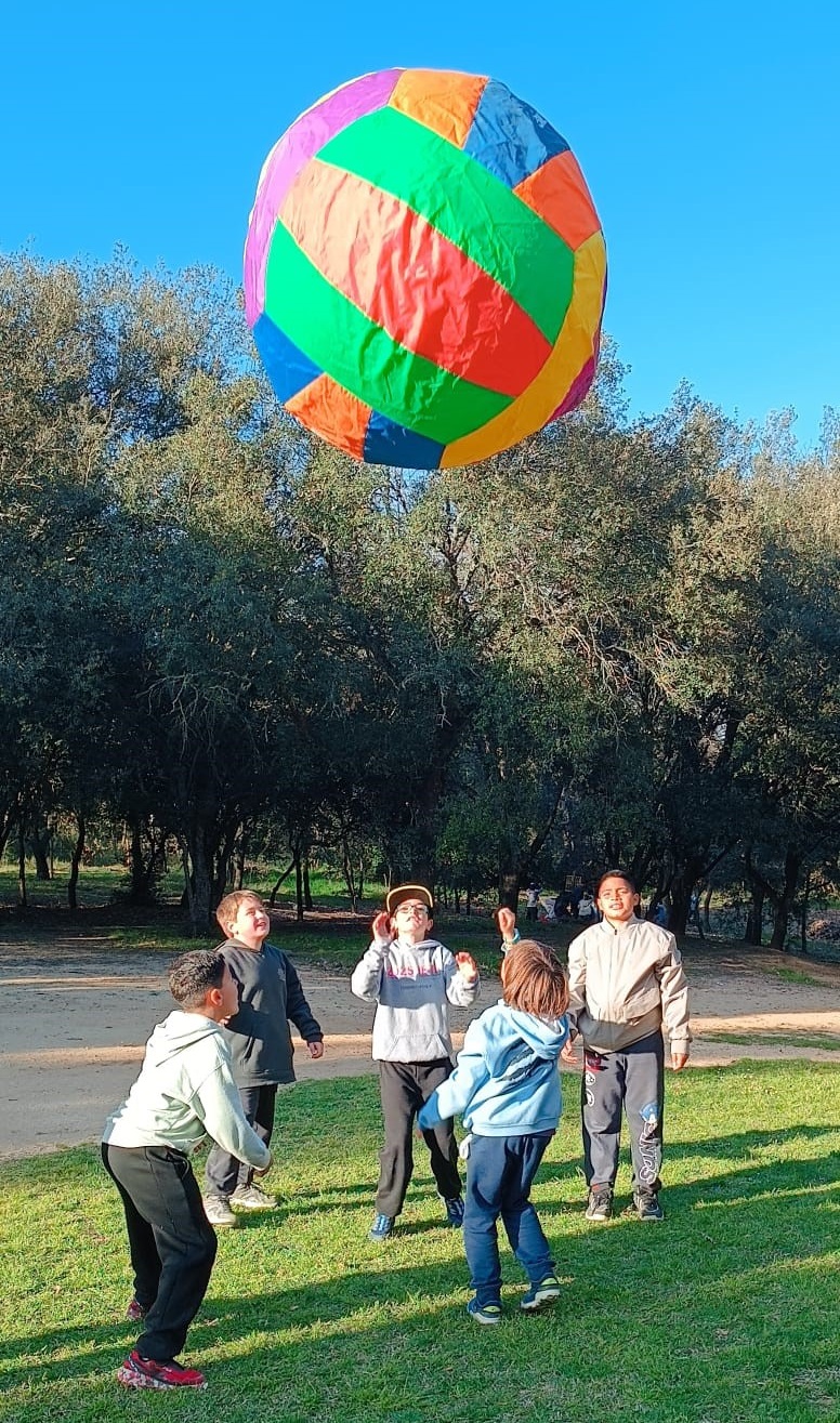 WhatsApp Image 2026-03-26 at 17.42.44 (1)