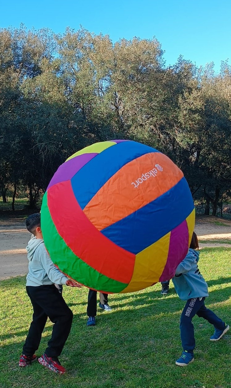 WhatsApp Image 2026-03-26 at 17.42.44