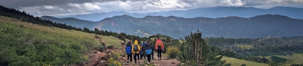 Proyecto Recortar imagen (2)