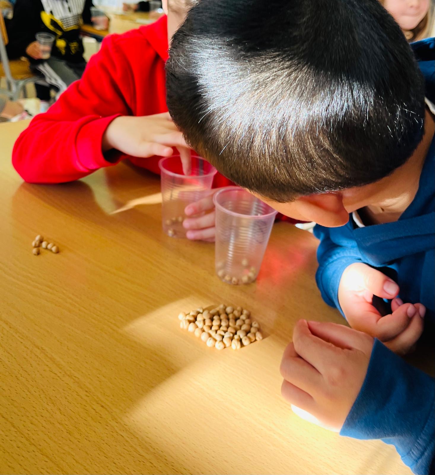 9456a7ef-71a1-4286-a51f-b73c934264a1