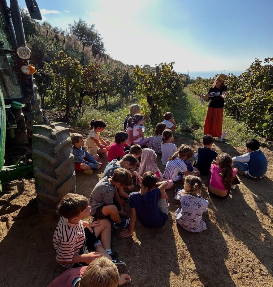 Captura de pantalla 2025-12-05 114948