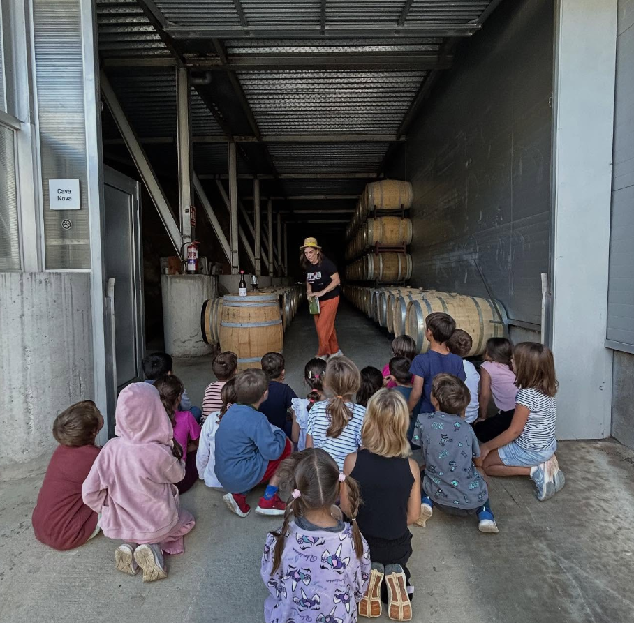 Captura de pantalla 2025-12-05 115013