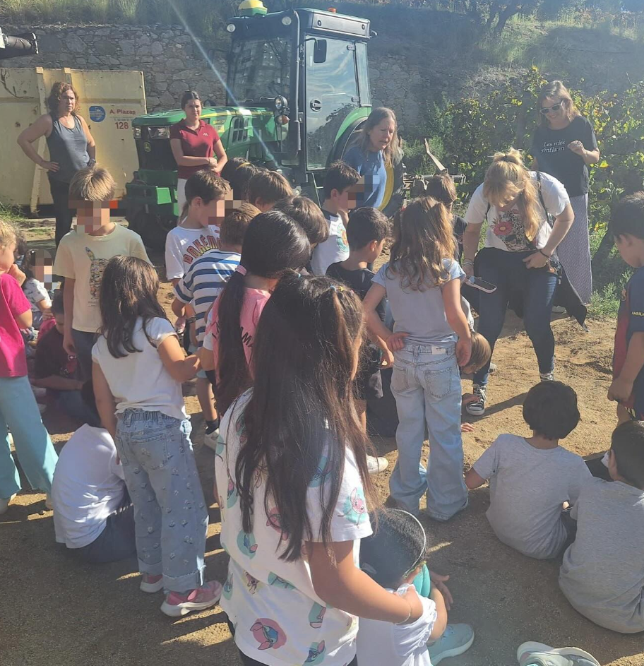 Captura de pantalla 2025-12-05 115035