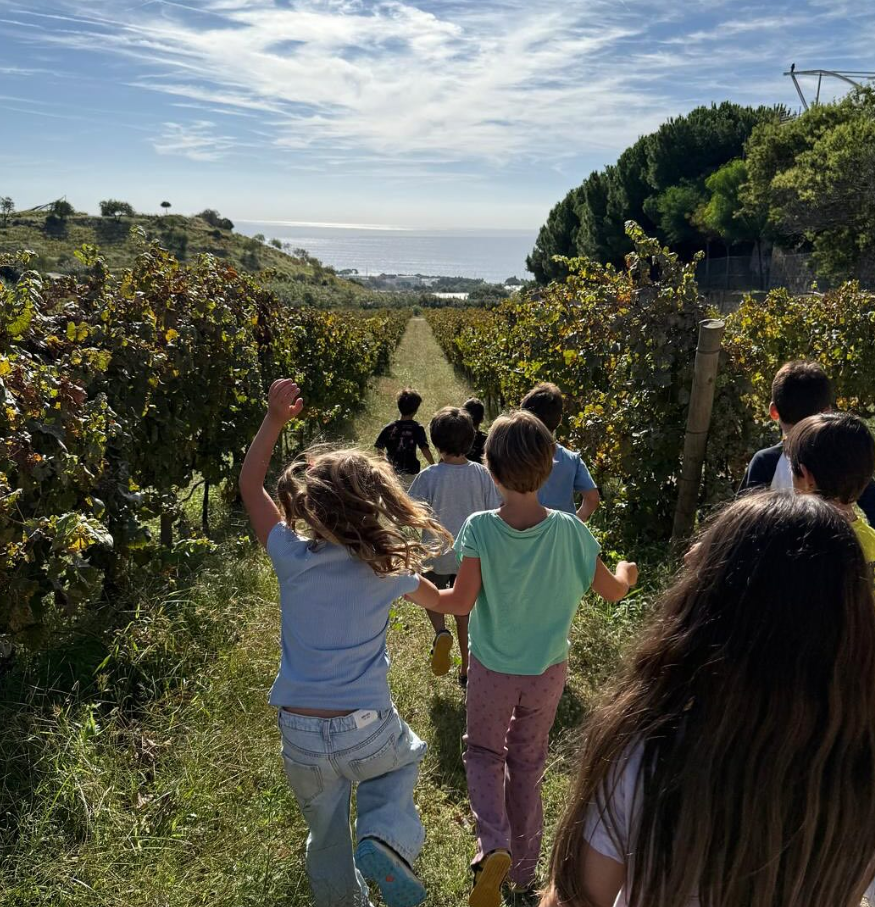 Captura de pantalla 2025-12-05 115057