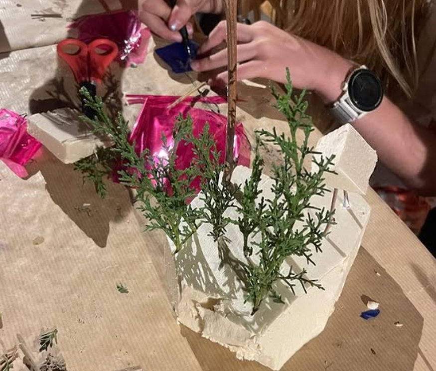 Captura de pantalla 2025-12-05 115331