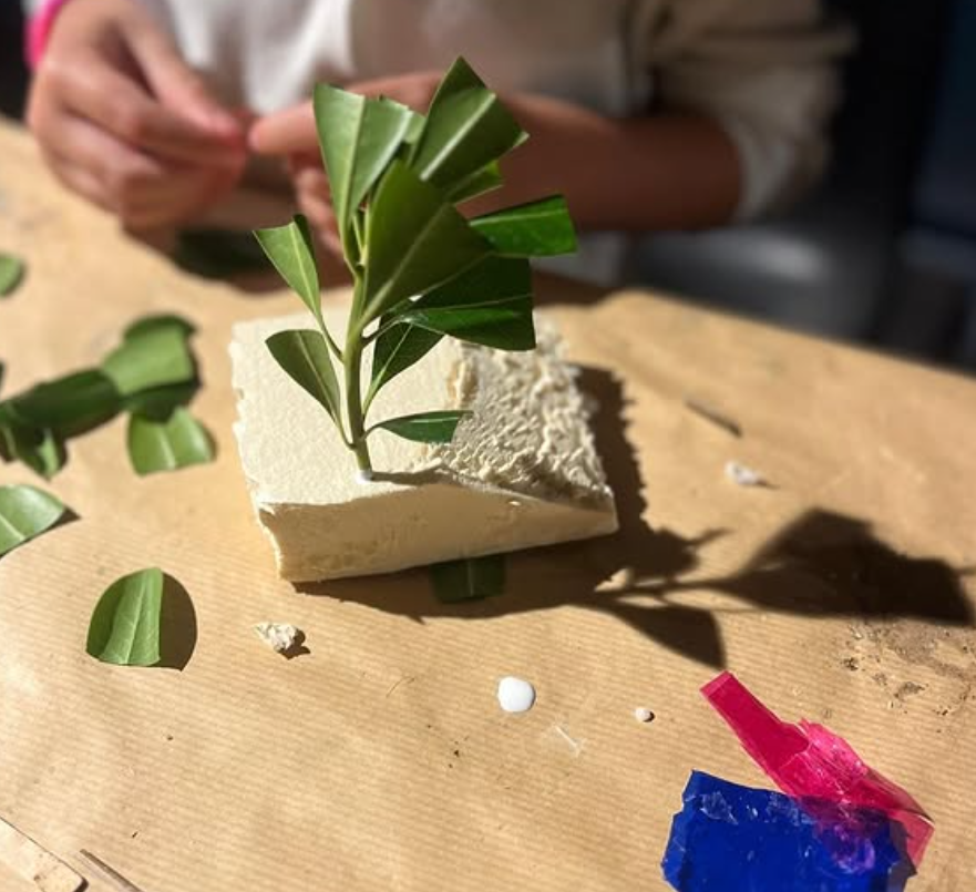 Captura de pantalla 2025-12-05 115810