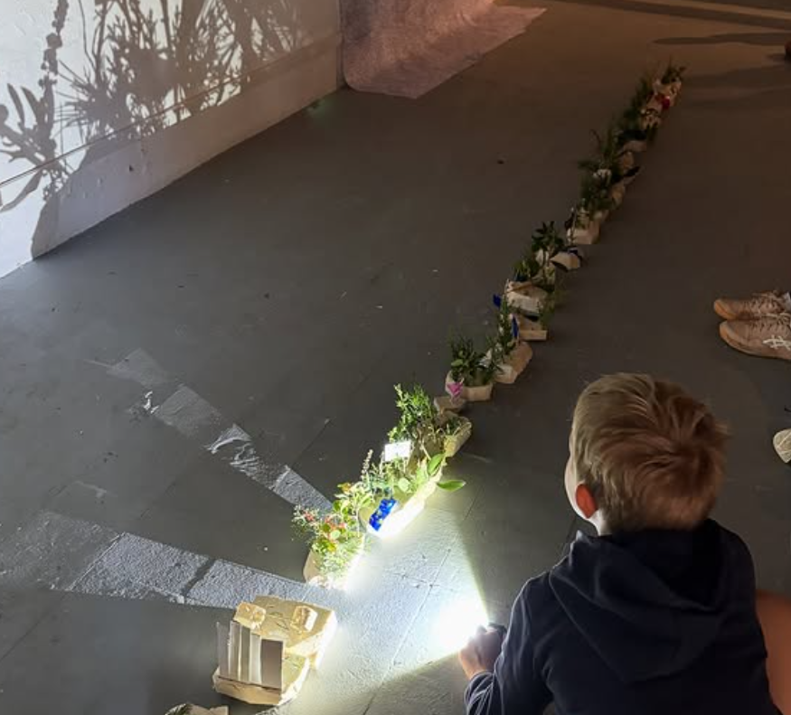 Captura de pantalla 2025-12-05 115832