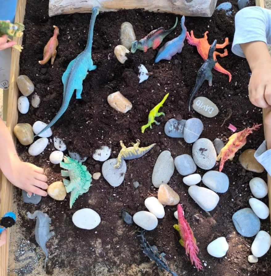 Captura de pantalla 2025-12-05 121108