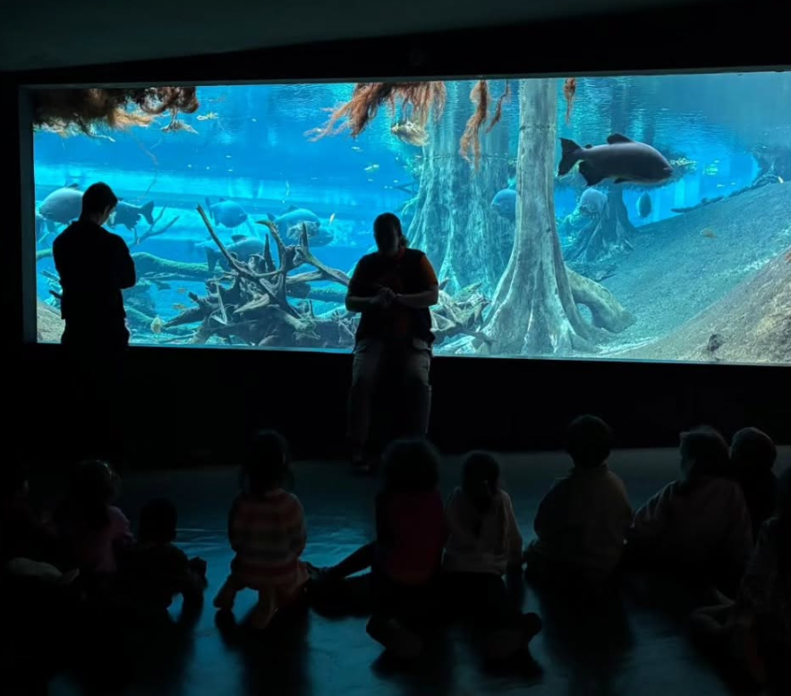 Captura de pantalla 2025-12-05 123112