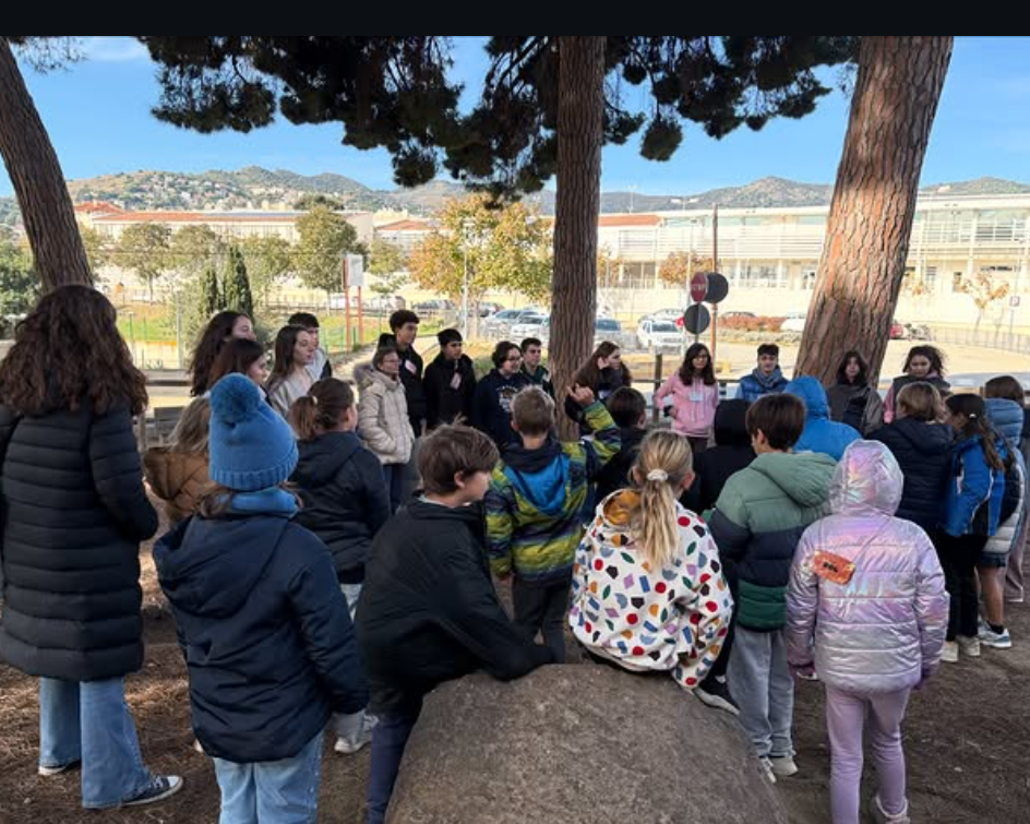 Captura de pantalla 2025-12-05 123417