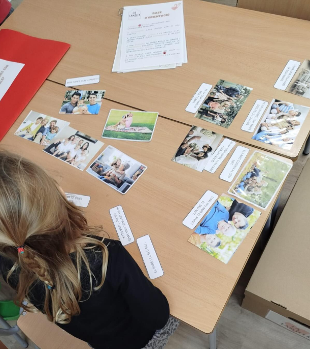 Captura de pantalla 2026-01-12 124138