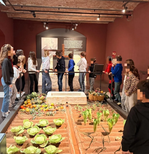 Captura de pantalla 2026-01-12 124348