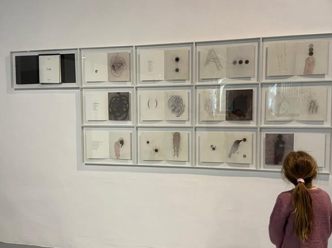 Captura de pantalla 2026-01-12 124452