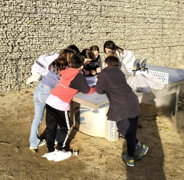 Captura de pantalla 2026-01-12 125318