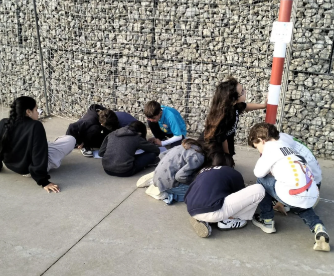 Captura de pantalla 2026-01-12 125336