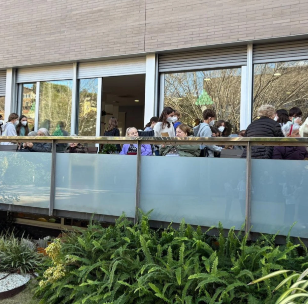 Captura de pantalla 2026-01-12 125526