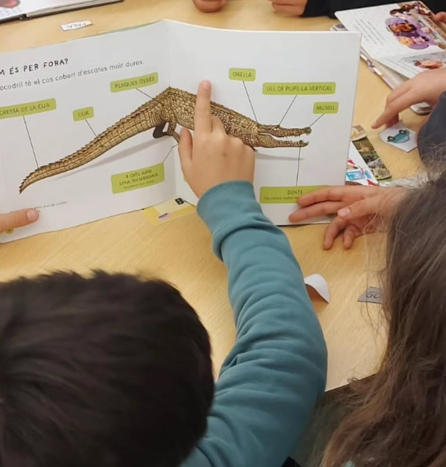 Captura de pantalla 2026-02-18 163910