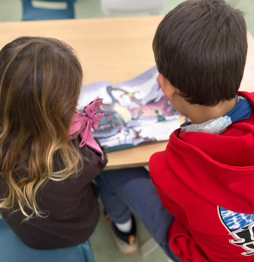 Captura de pantalla 2026-02-18 163931